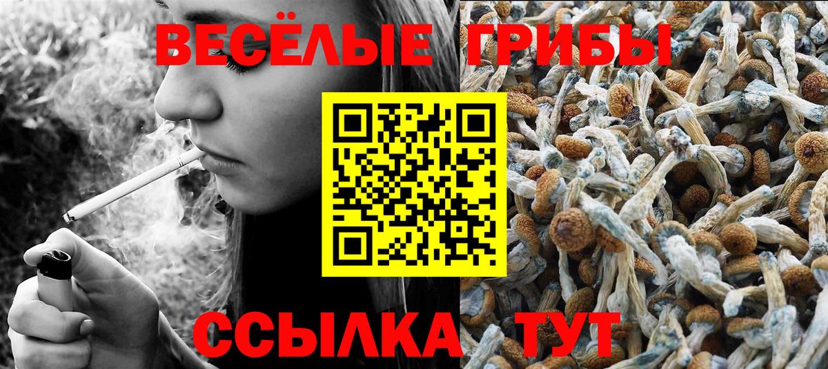 Красноперекопск  Псилоцибиновые грибы прущие грибы  Вход с VPN 